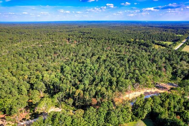 535 Rabbit Pen Dr, Appling, GA 30802 - photo 7