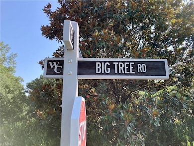 Big Tree Road in Willow Creek