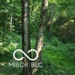 0 E County Road 800 N, Milan, IN 47031 - photo 5