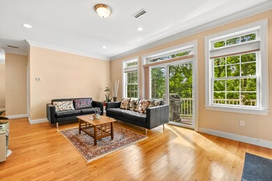 6 Sarah Jane Ct unit 6, Acton, MA 01720 - photo 3