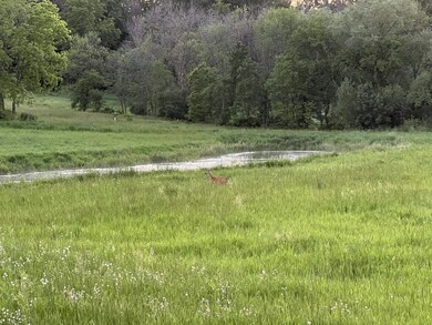 XXXX 280th St E, Webster, MN 55088 - photo 4