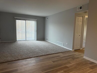 14970 Pulaski Rd unit 5, Midlothian, IL 60445 - photo 5