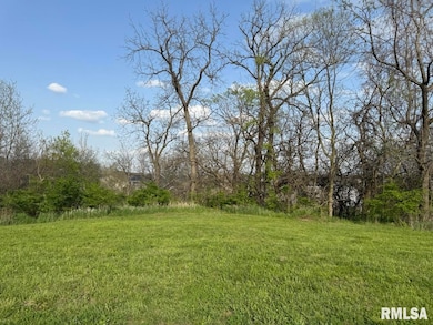 11428 N Boulder Creek Ct, Dunlap, IL 61525 - photo 6