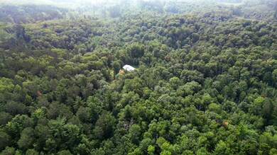 tbd County Highway 39, Osage, MN 56570 - photo 6