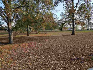 xxxx Dollar Store Rd unit n/a, Ochlocknee, GA 31773 - photo 2