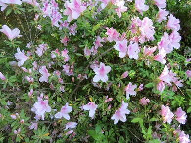 Beautiful azaleas throughout the grounds!
