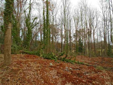 4 Nichols Dr, Inman, SC 29349 - photo 7