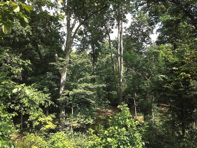 0 Dean Rd unit 225032132, Ostrander, OH 43061 - photo 7