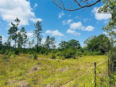 View of local wilderness