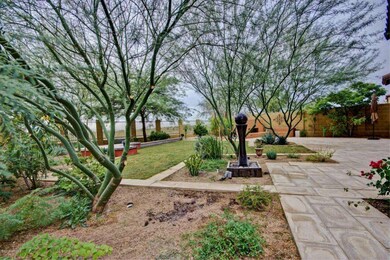 BEAUTIFULLY LANDSCAPED BACKYARD