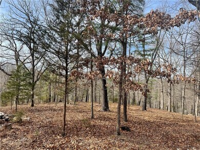 11828 Shockley Place Rd, Rogers, AR 72756 - photo 4