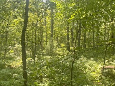 Lot 2R &3 Chapin Rd, Hampden, MA 01036 - photo 3