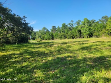 350 Loulu Place, Diamondhead, MS 39525 - photo 7