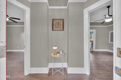 1304 E Chilhowie Ave, Johnson City, TN 37601 - photo 4