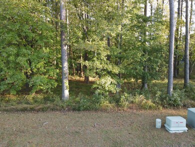 Lot on Pamlico ln 4