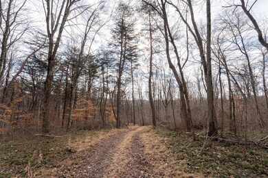 0 Ilesboro Rd, Logan, OH 43138 - photo 6