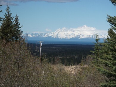Mt Illliamna & Power Pole