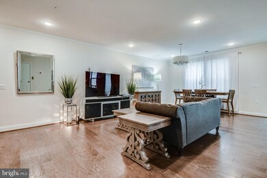 42908 Sandy Quail Terrace, Brambleton, VA 20148 - photo 6