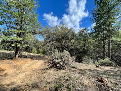 0 Loggers Trail, Colfax, CA 95713 - photo 3