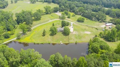 212 Highway 213, Calera, AL 35040 - photo 7