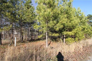 Lot 10 Riverstone Dr unit 10, Lincolnton, NC 28092 - photo 4