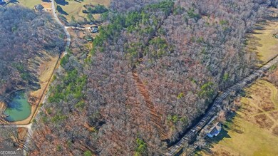 4431 Jim Hood Rd, Gainesville, GA 30506 - photo 4