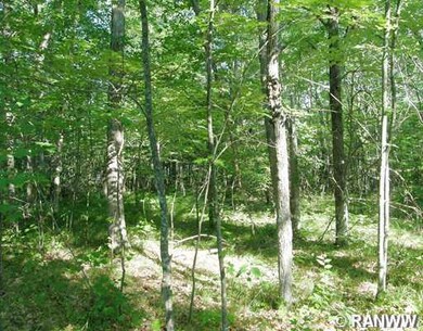 Lot 14 Spotted Fawn Dr, Jackson, WI 54830 - photo 4