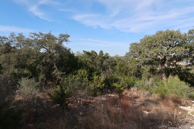 8727 Terra Mont Way, San Antonio, TX 78255 - photo 5