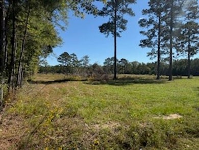 701 Barnes Rd, Pike Road, AL 36064 - photo 3