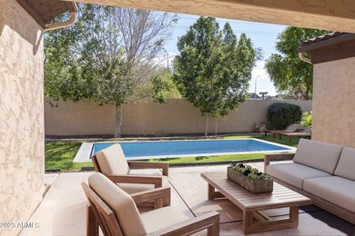 Backyard (1)