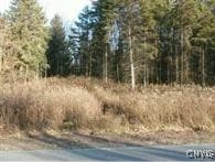 0 Nelson Rd unit S1569765, Lenox, NY 13032 - photo 4