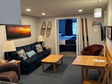 2955 White Mountain Hwy unit 214 (W50), North Conway, NH 03860 - photo 6