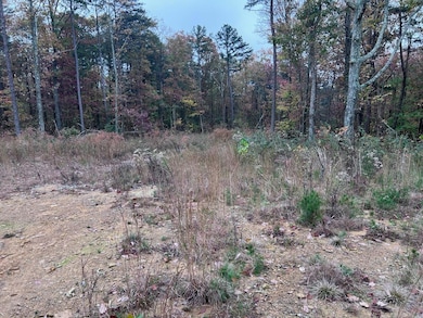 270 Burnett Rd, Signal Mountain, TN 37377 - photo 3