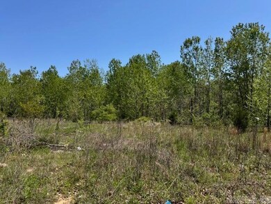 TBD U S Highway 67, Pocahontas, AR 72455 - photo 6