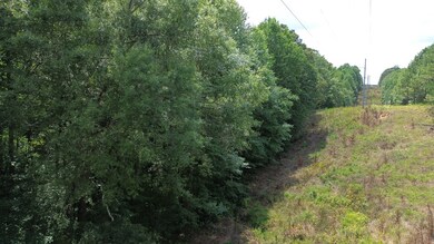 65 Sandy Point Rd, Camden, TN 38320 - photo 6