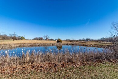Small pond on level lot