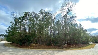 Front left corner of lot facing Pintail Trace. San