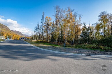 2-web-or-mls-Kinship Ln Lot Photos-1