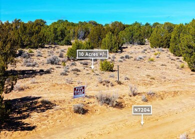 75 County Rd N7204, Saint Johns, AZ 85936 - photo 7