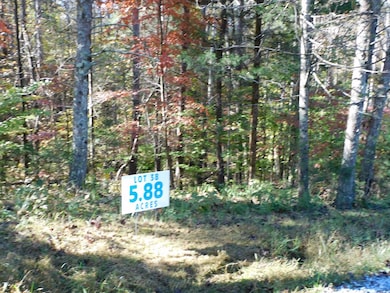 5.88 Grassland Dr, Sandy Level, VA 24161 - photo 5