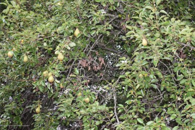 755 Leonardville Rd, Leonardo, NJ 07737 - photo 4