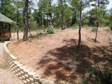 5540 W Solitude Trails Loop, Pine, AZ 85544 - photo 4