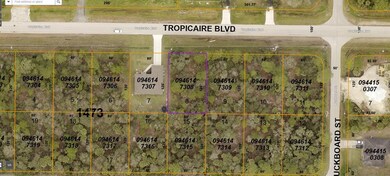 0 Tropicaire Blvd unit C7457503, North Port, FL 34291 - photo 2