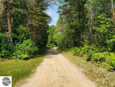 4153 S M-76, West Branch, MI 48661 - photo 4