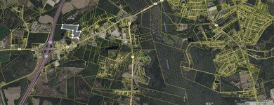 0 Carolette Ct unit 25018651, Walterboro, SC 29488 - photo 2