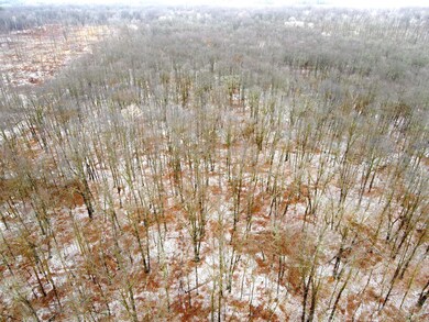 TBD-40AC Highway 27, Onamia, MN 56359 - photo 4