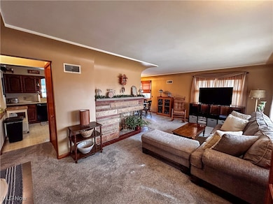 872 Yankee Run Rd, Masury, OH 44438 - photo 3