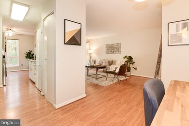11220 Chestnut Grove Square unit 11220-222, Reston, VA 20190 - photo 7