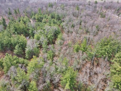 xxx Old 35 Rd, Oakland, WI 54830 - photo 6