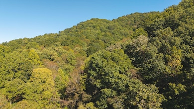 69.26 Acre Wolfe Rd, Sneedville, TN 37869 - photo 7